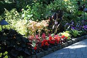 52 - Butchard Gardens  - IMG_1646